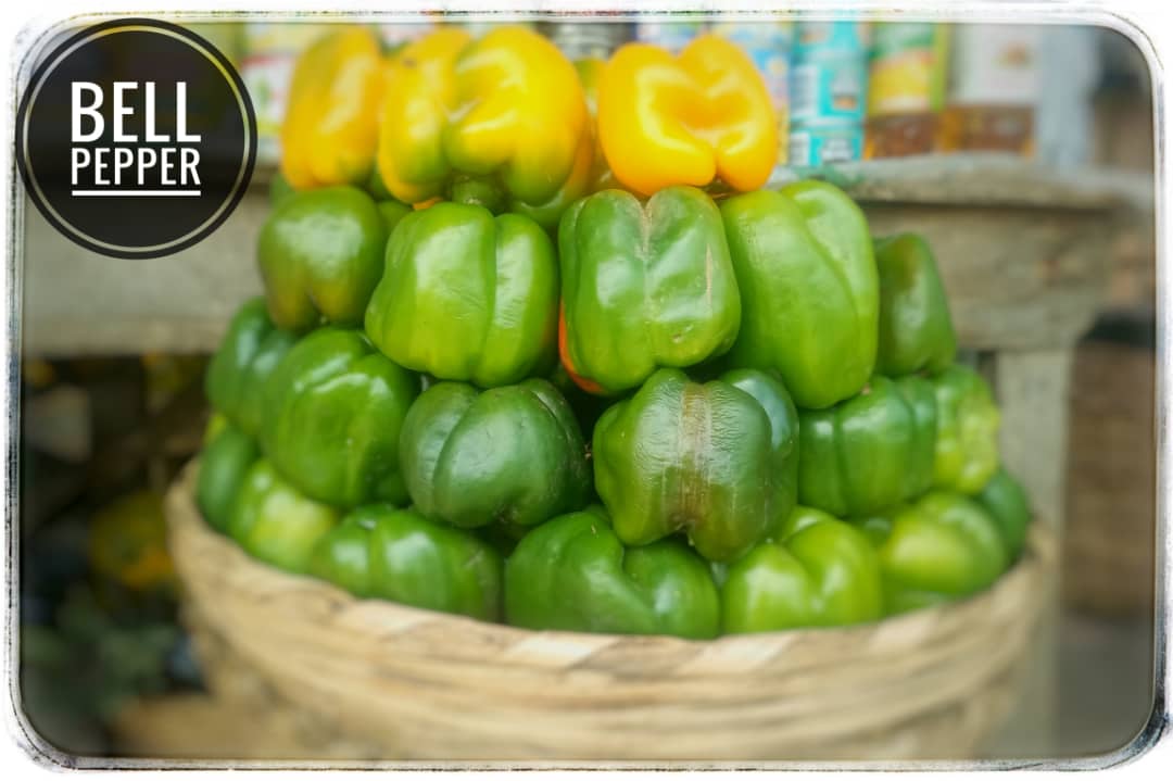 Bell Pepper Box