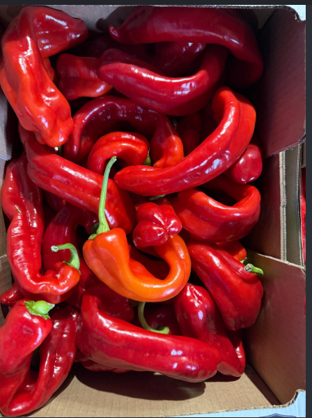 Long Pepper Box 3kg